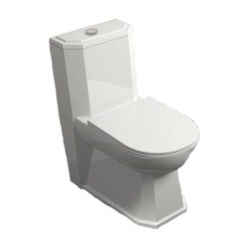 مشخصات، قیمت و خرید توالت فرنگی گلسار مدل دایموند توربو